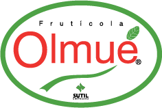 Frutícola Olmué